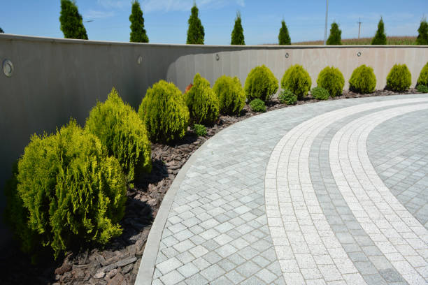 Reasons to Select Us for Your Driveway Paving Requirements in Susanville, CA